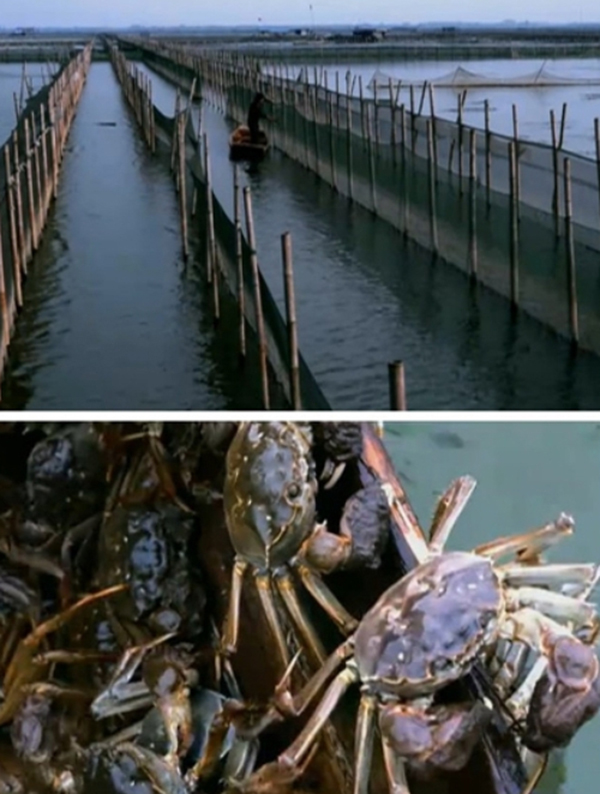 色翁荡息又大又硬又粗又爽