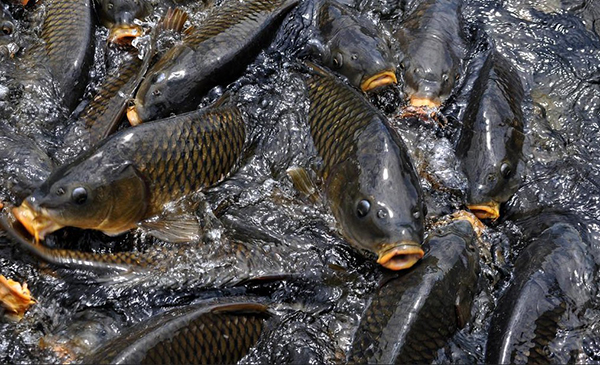 色翁荡息又大又硬又粗又爽