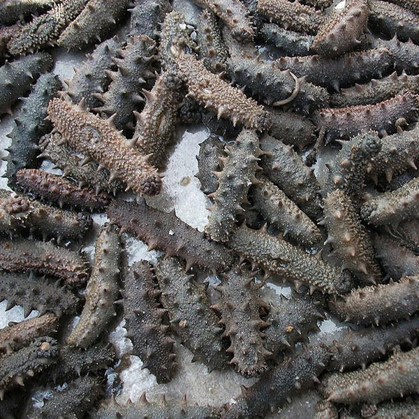 色翁荡息又大又硬又粗又爽