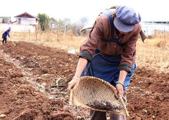 色翁荡息又大又硬又粗又爽