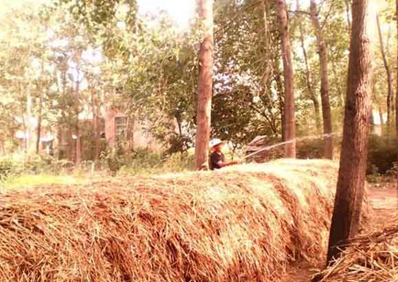 色翁荡息又大又硬又粗又爽