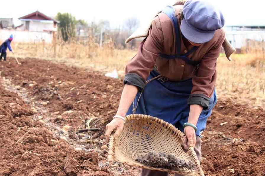 色翁荡息又大又硬又粗又爽