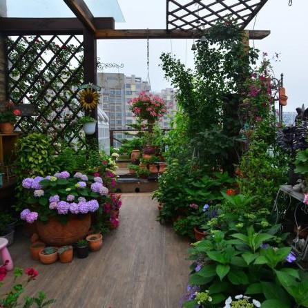 色翁荡息又大又硬又粗又爽