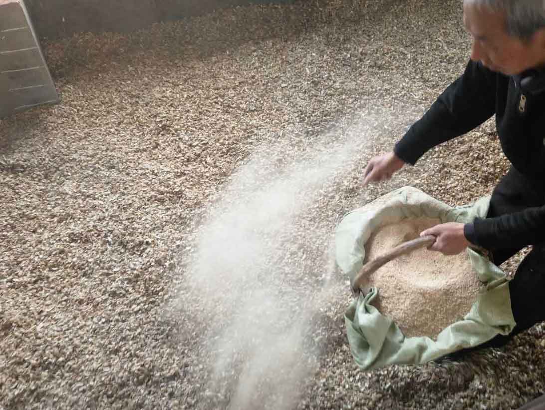 发酵床菌种养猪指导