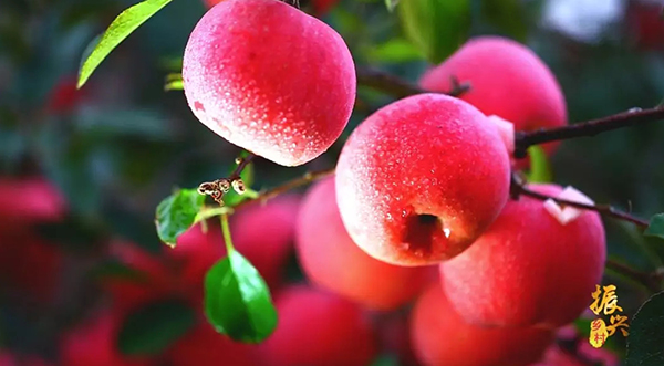 色翁荡息又大又硬又粗又爽