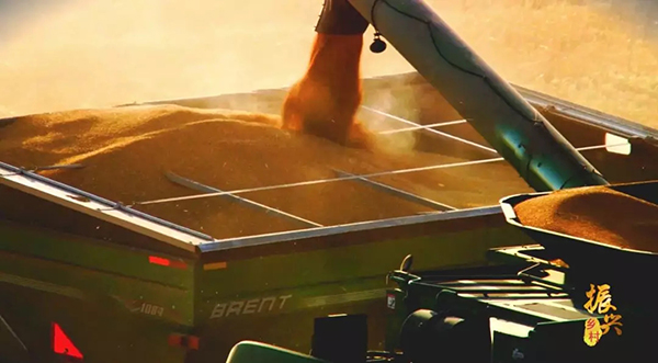 色翁荡息又大又硬又粗又爽