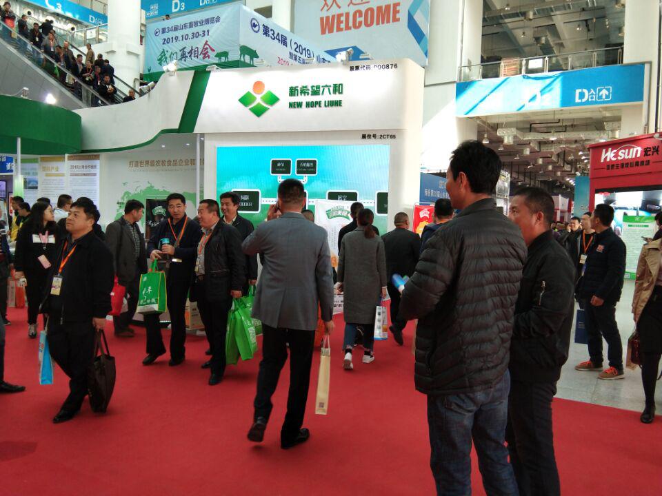 色翁荡息又大又硬又粗又爽