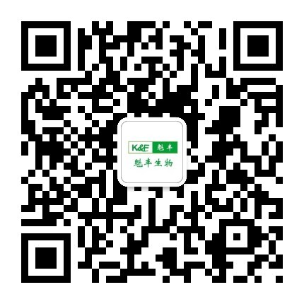 色翁荡息又大又硬又粗又爽