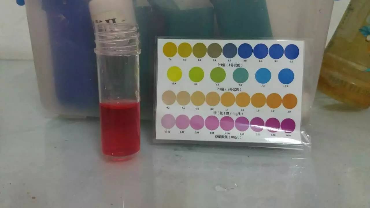 亚硝净+粪链球菌处理亚硝酸盐高效果好。