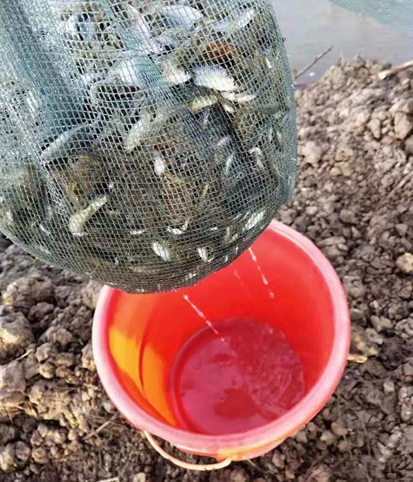 色翁荡息又大又硬又粗又爽