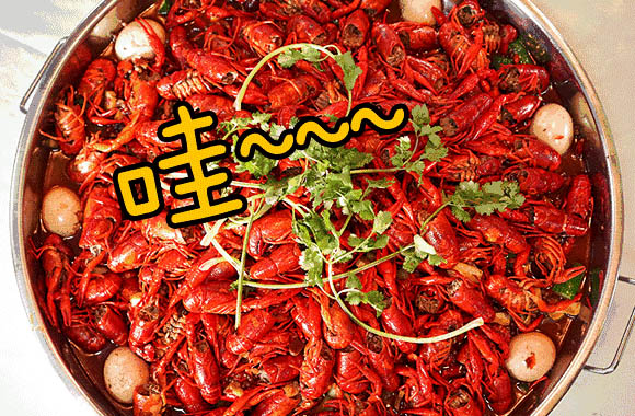 色翁荡息又大又硬又粗又爽