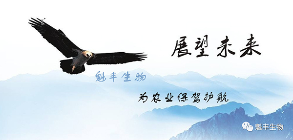 色翁荡息又大又硬又粗又爽