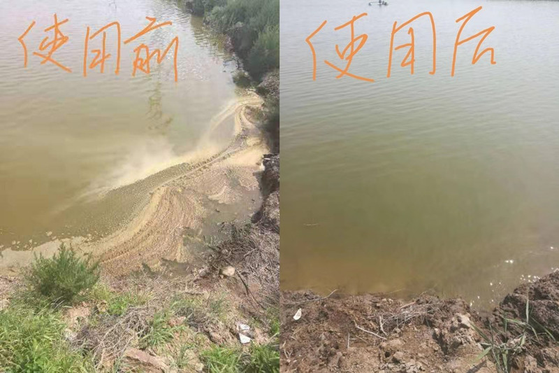 色翁荡息又大又硬又粗又爽