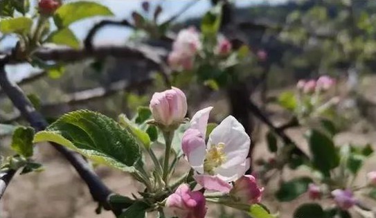 色翁荡息又大又硬又粗又爽