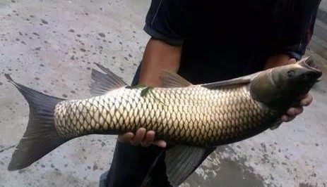 色翁荡息又大又硬又粗又爽