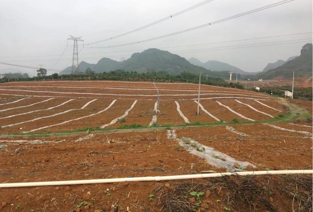 色翁荡息又大又硬又粗又爽