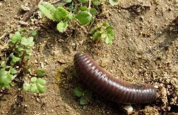 色翁荡息又大又硬又粗又爽