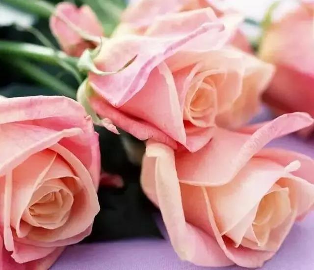 色翁荡息又大又硬又粗又爽