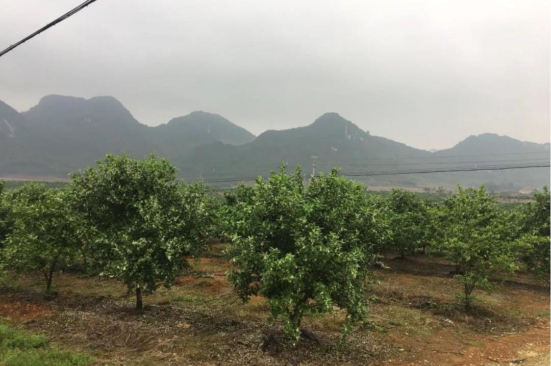 色翁荡息又大又硬又粗又爽