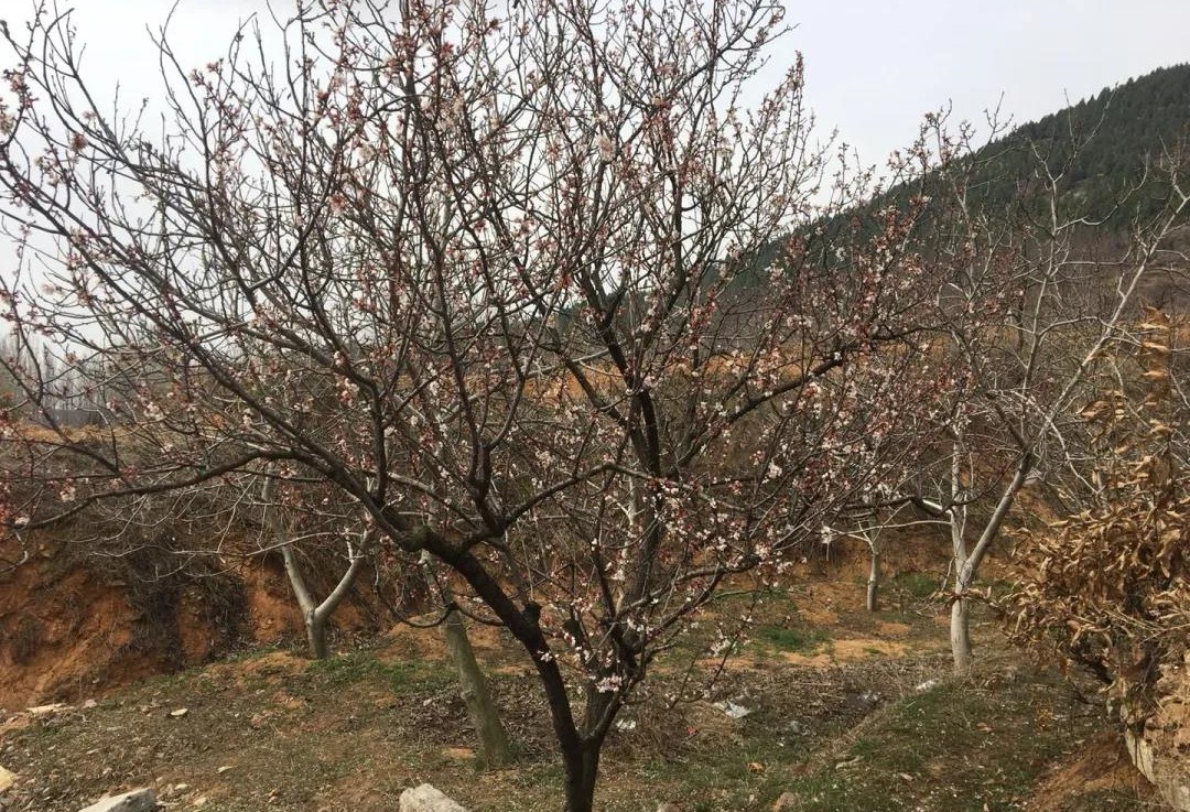 色翁荡息又大又硬又粗又爽