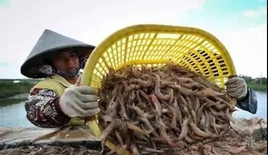 色翁荡息又大又硬又粗又爽