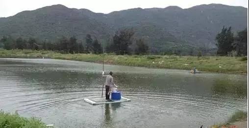 色翁荡息又大又硬又粗又爽