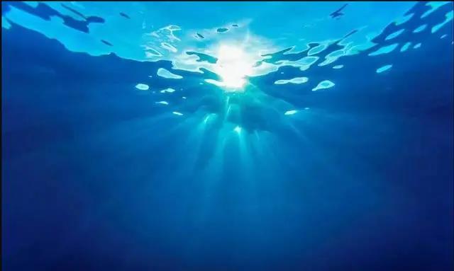 色翁荡息又大又硬又粗又爽