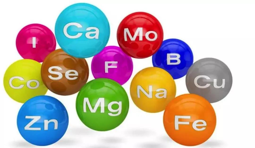 色翁荡息又大又硬又粗又爽