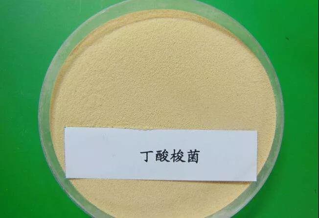 色翁荡息又大又硬又粗又爽