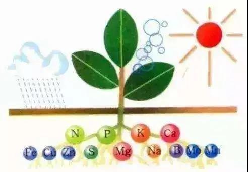 色翁荡息又大又硬又粗又爽