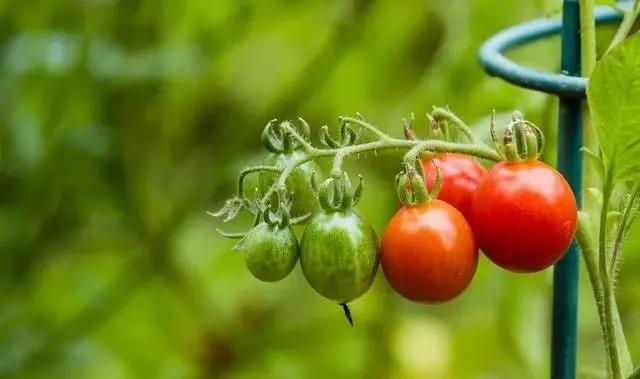 色翁荡息又大又硬又粗又爽