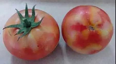 色翁荡息又大又硬又粗又爽