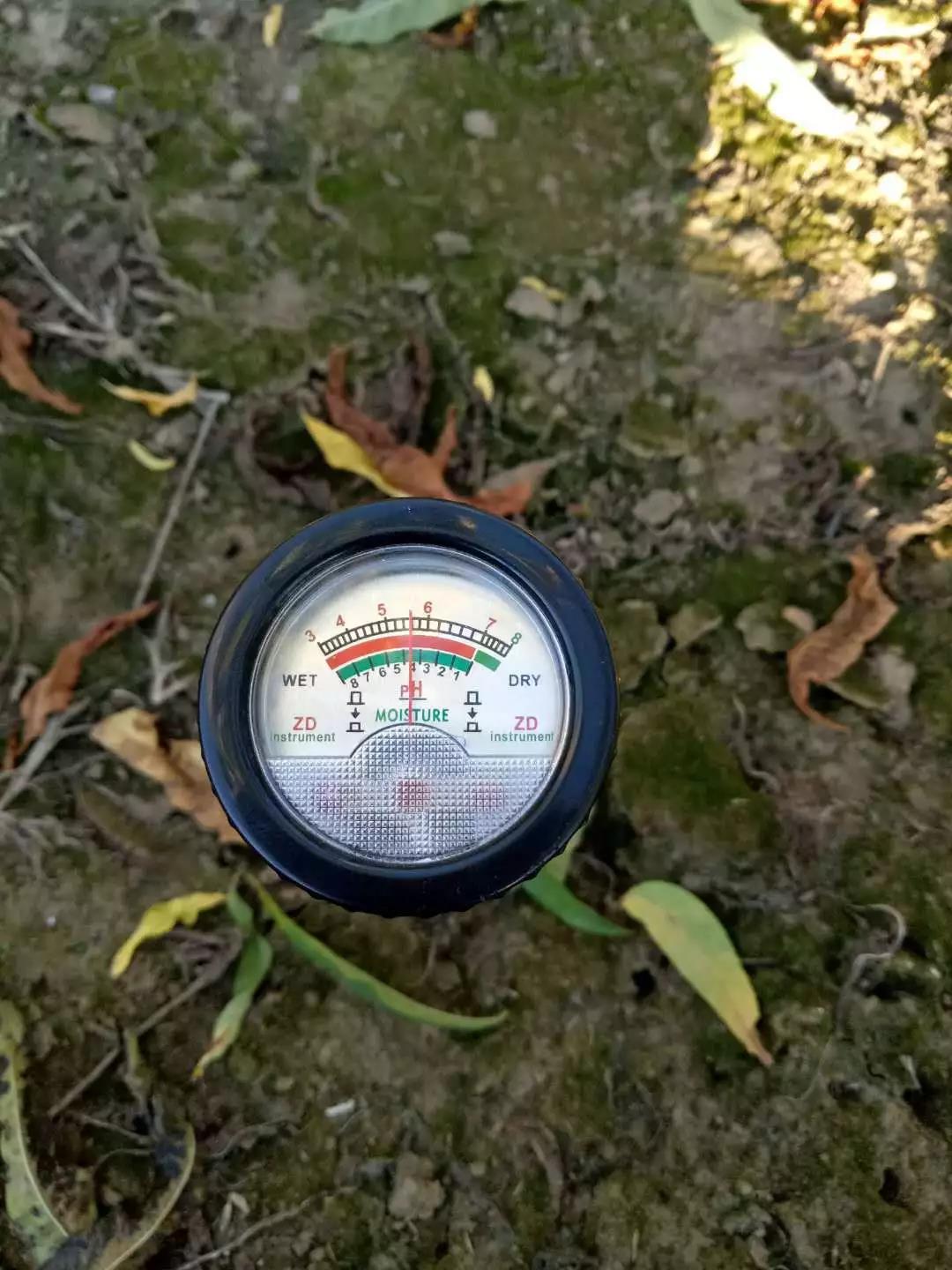 色翁荡息又大又硬又粗又爽