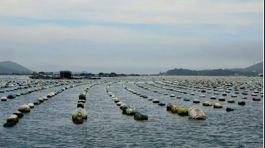 色翁荡息又大又硬又粗又爽