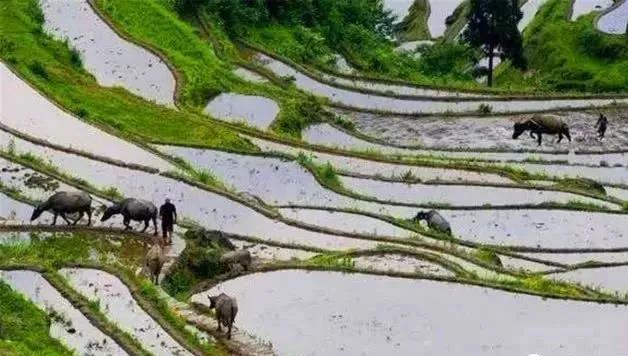 色翁荡息又大又硬又粗又爽