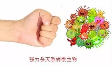 色翁荡息又大又硬又粗又爽