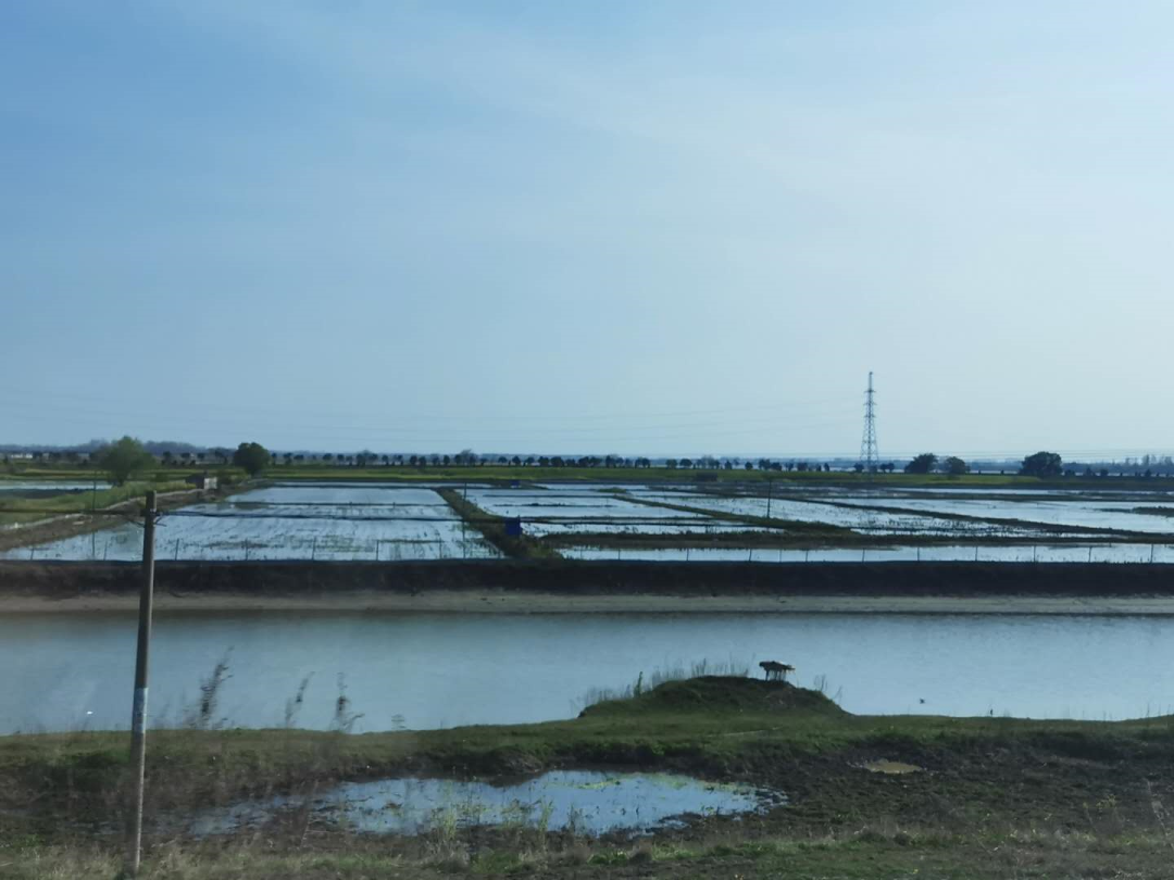 色翁荡息又大又硬又粗又爽