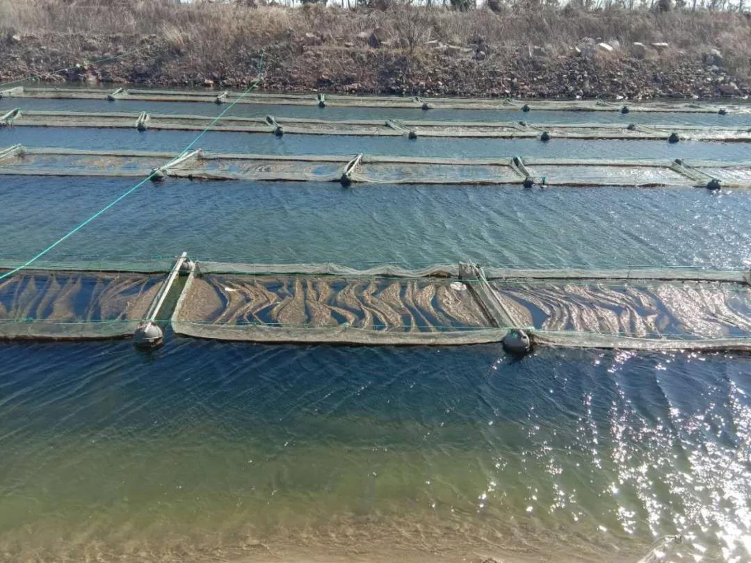 色翁荡息又大又硬又粗又爽