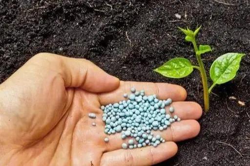 色翁荡息又大又硬又粗又爽