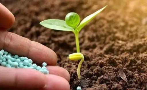 色翁荡息又大又硬又粗又爽