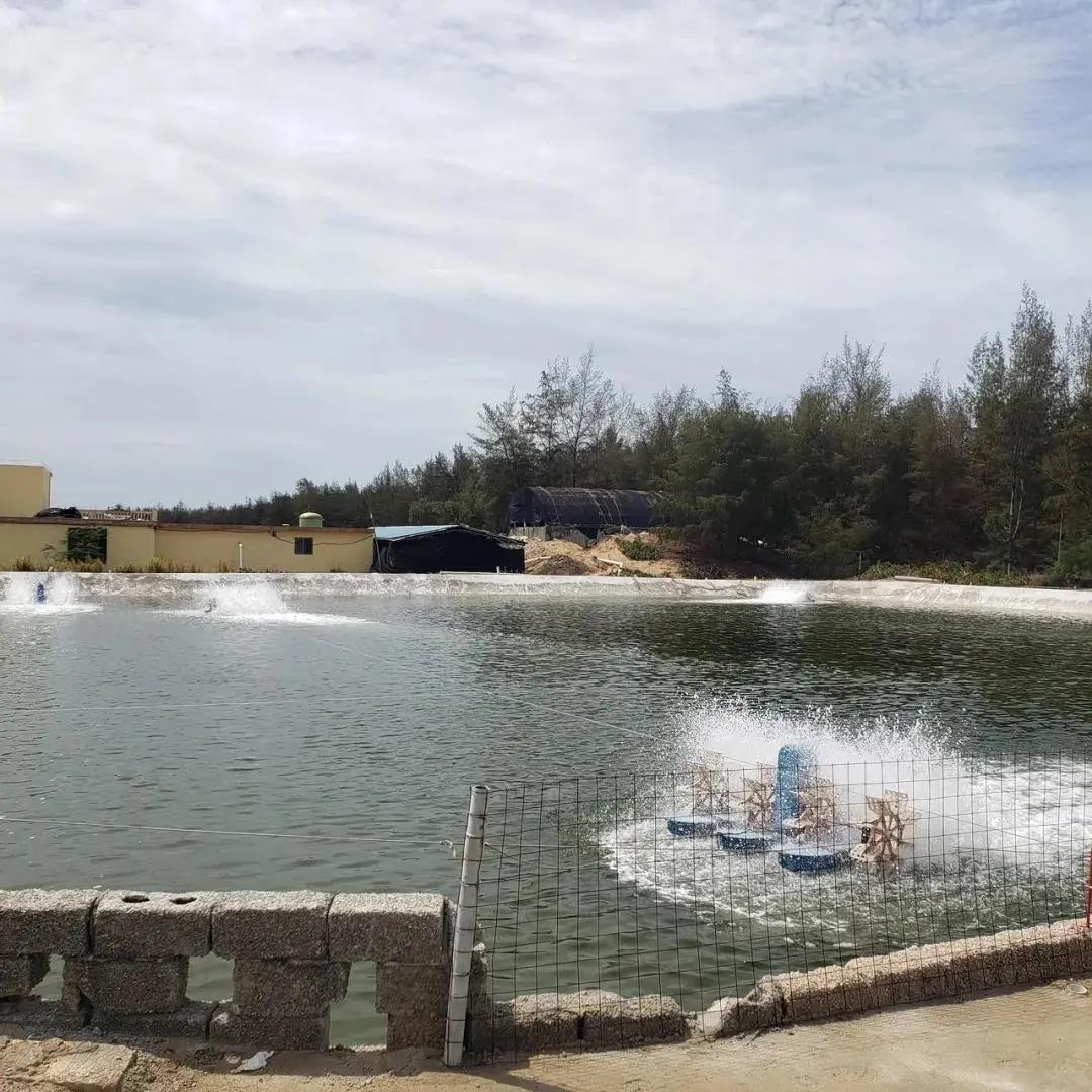 色翁荡息又大又硬又粗又爽