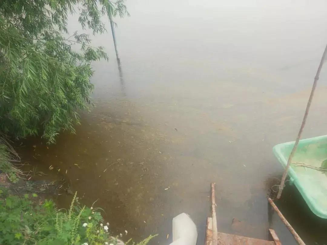 色翁荡息又大又硬又粗又爽