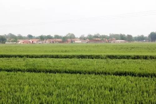 色翁荡息又大又硬又粗又爽