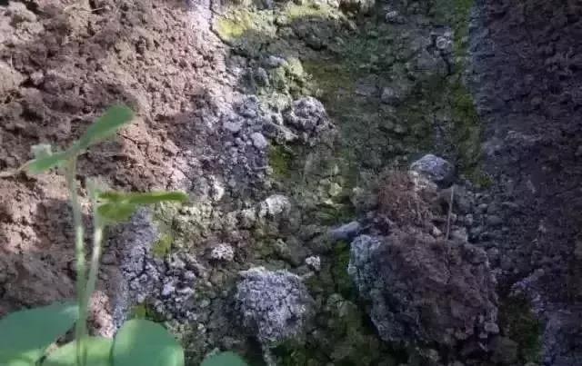 色翁荡息又大又硬又粗又爽