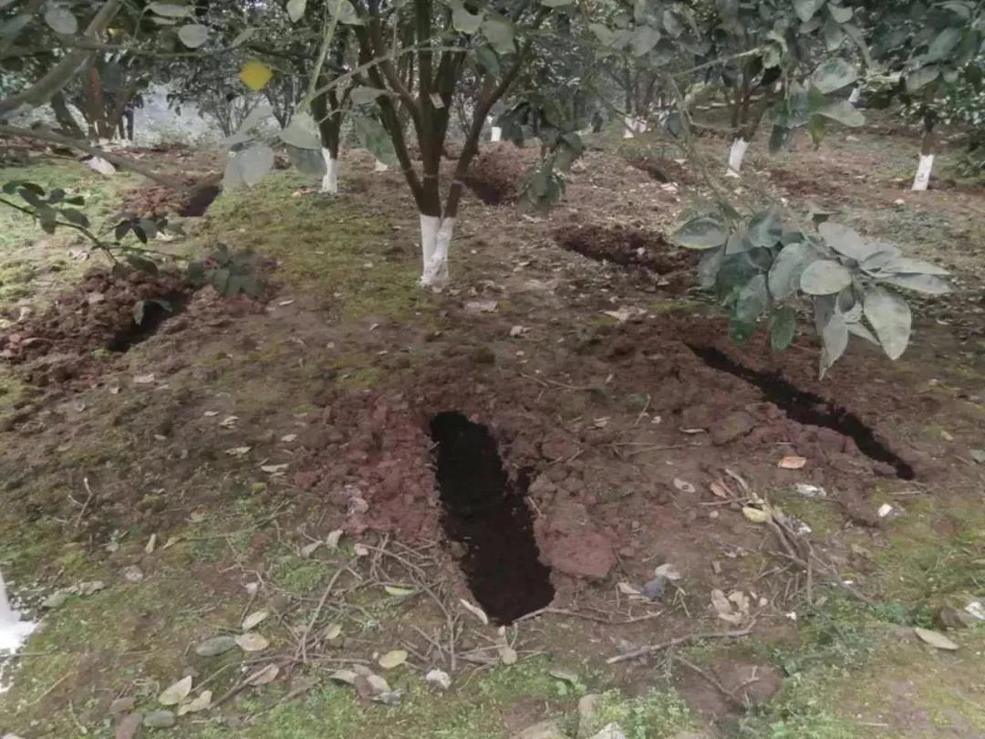 色翁荡息又大又硬又粗又爽