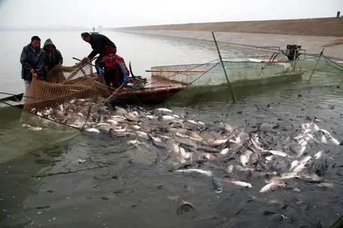 色翁荡息又大又硬又粗又爽