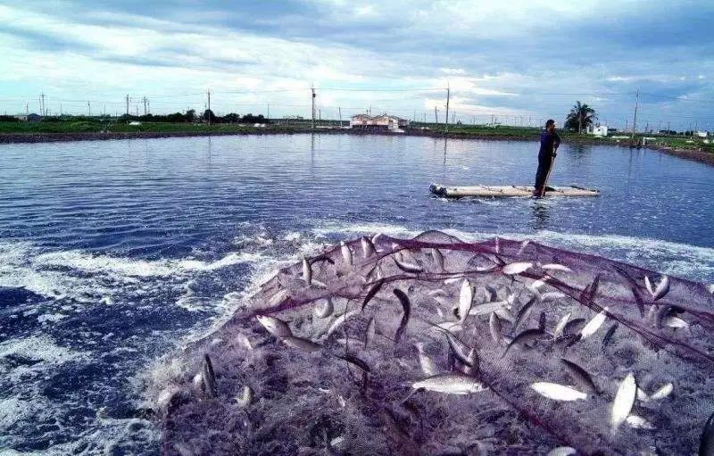 色翁荡息又大又硬又粗又爽