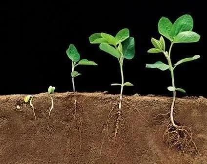 色翁荡息又大又硬又粗又爽