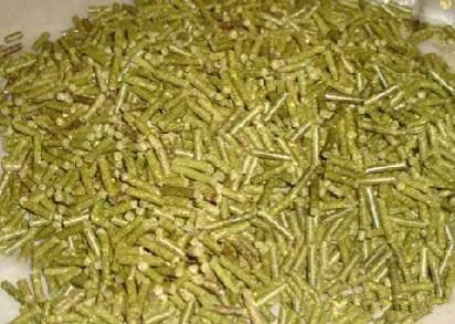 色翁荡息又大又硬又粗又爽