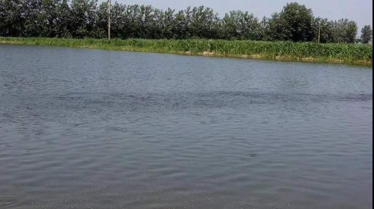 色翁荡息又大又硬又粗又爽